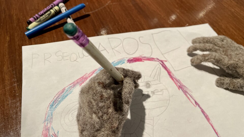 Main en lain qui dessine un chat sur une feuille. 
