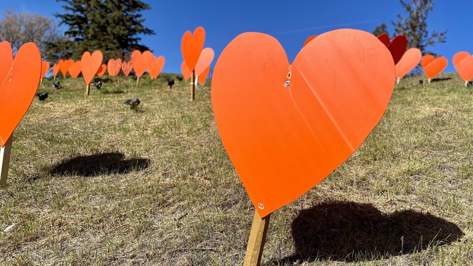 Un champ de coeurs orange.