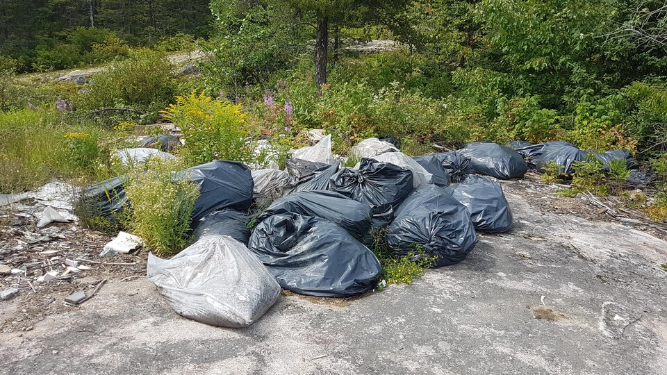 Des sacs qui contiennent des déchets sont à l'extérieur dans la nature. 
