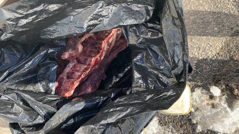 Une carcasse d'animal dans un sac à ordures.