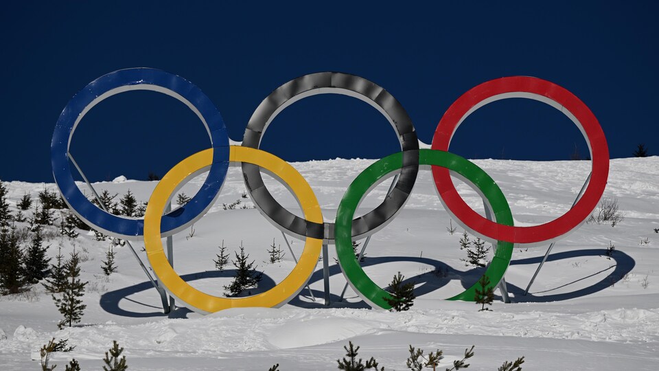 Ils sont sur une montagne enneigée.