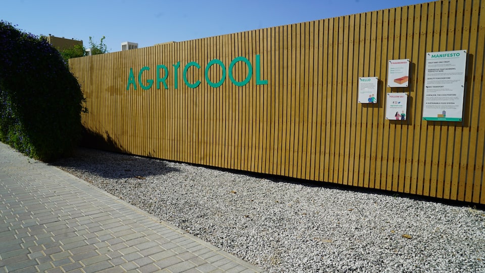 Un conteneur recouvert de lattes de bois est posé sur un sol de gravier. Le mot « Agricool » est inscrit en lettrage turquoise sur le côté de la structure.                        