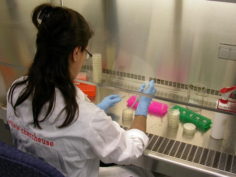 Une scientifique habillée d'un sarrau blanc sur lequel il est inscrit au dos en lettres rouges « artiste chercheuse ». Elle inocule des boîtes de Petri à l'aide d'outils de laboratoire.