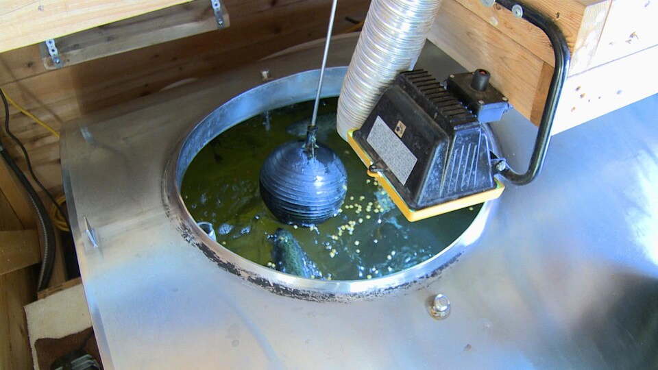 Réservoir de lait en acier inoxydable transformé en bassin pour poissons.