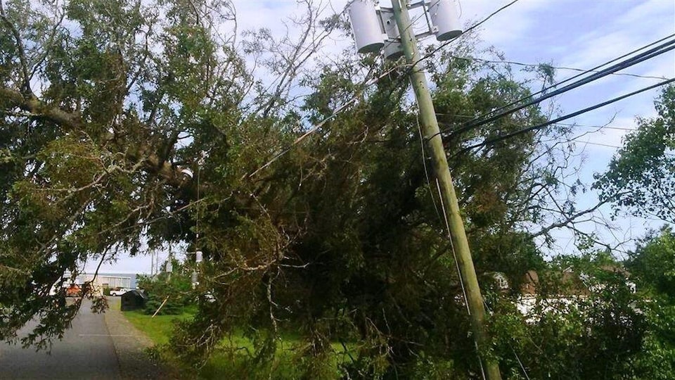 La tempête Arthur avait laissé le réseau électrique du Nouveau-Brunswick en mauvais état en 2014. Cette photo avait été prise à Fredericton.