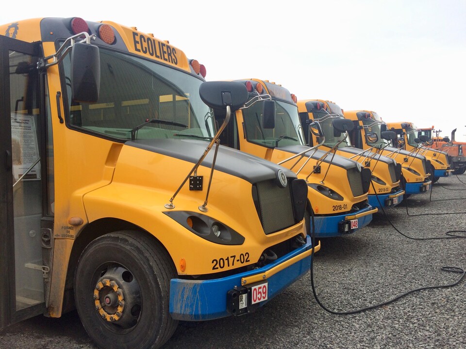 Une série d'autobus scolaires électriques branchés aux bornes de recharge.