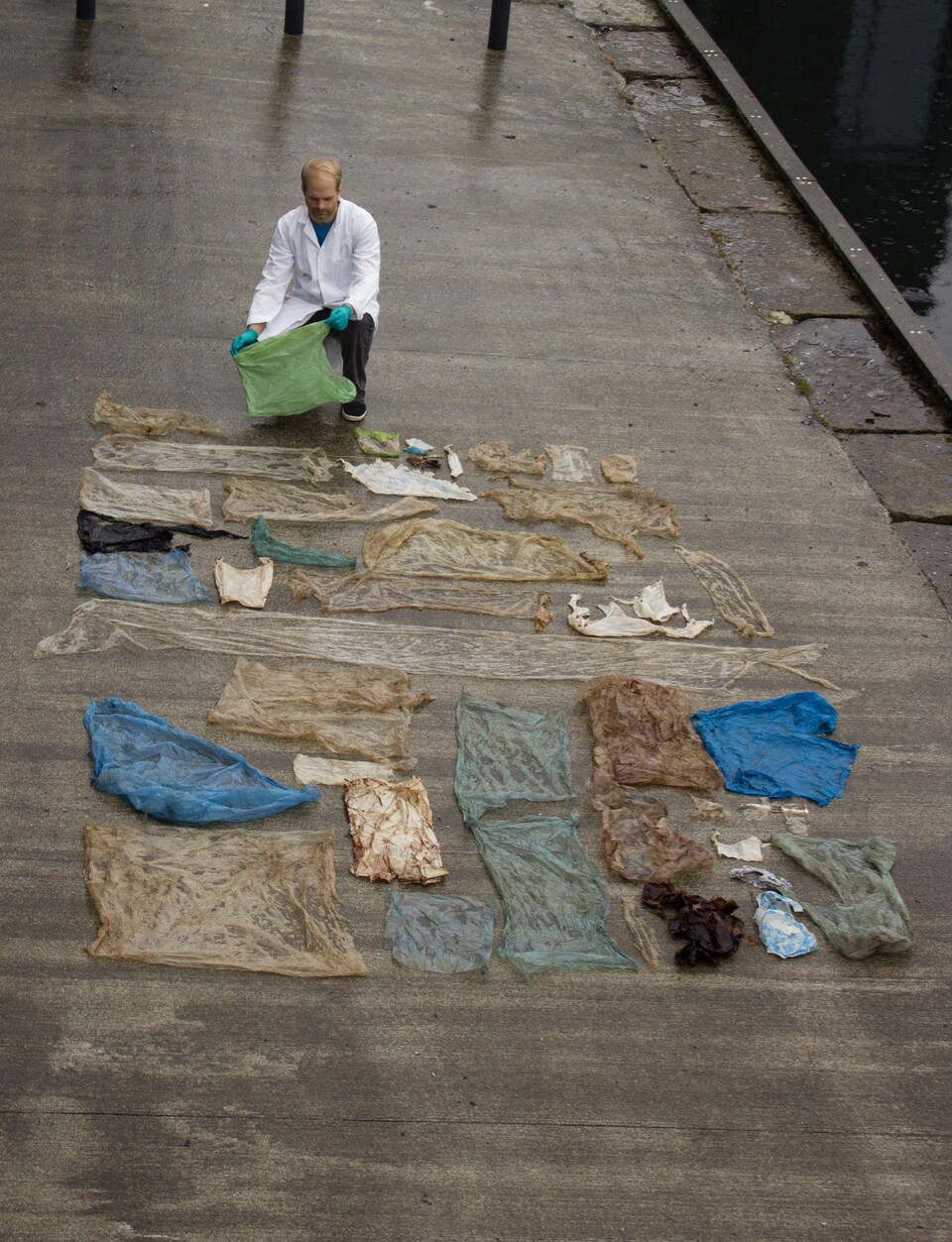 Un chercheur norvégien étend sur un quai des sacs de plastique retrouvés dans l'estomac d'une baleine.
