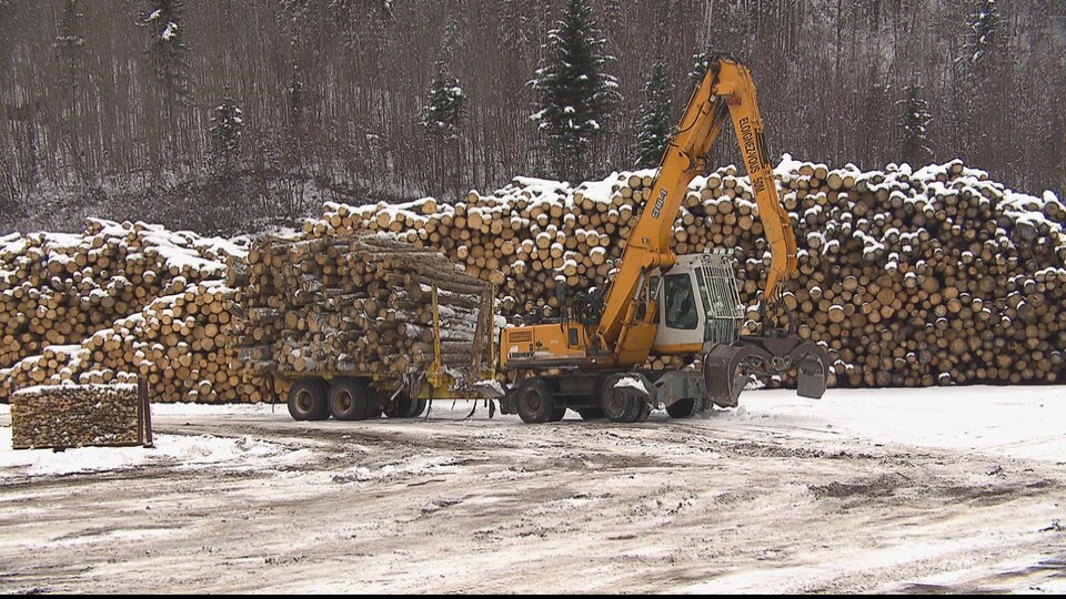 Des billots de bois et une machinerie forestière