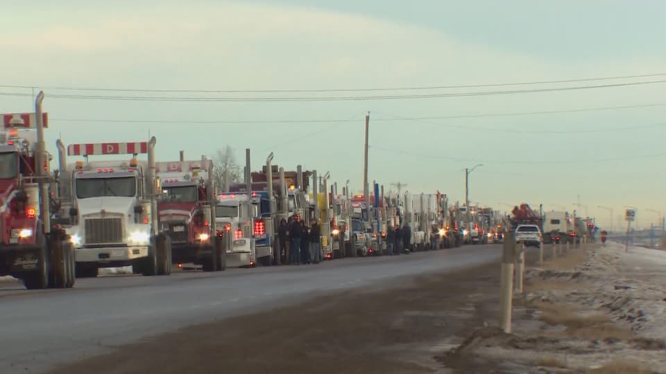 une longue file de camions circule sur une autoroute.