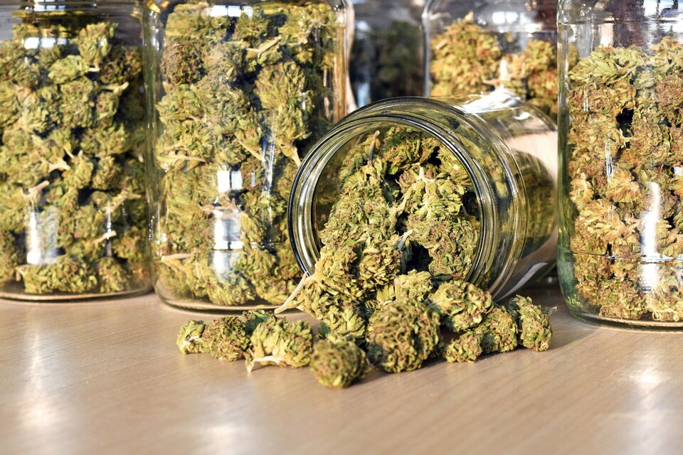 Cannabis dans un pot en verre.
