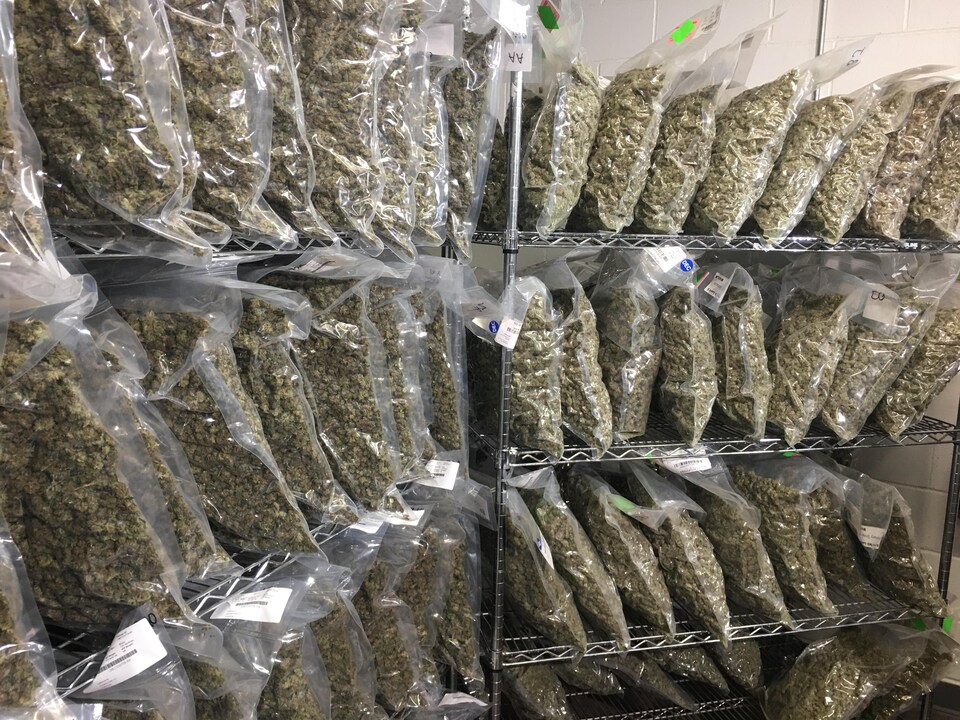 Du cannabis à usage médicinal dans l'entrepôt du producteur Tweed en Ontario, propriété de Canopy Growth. 
