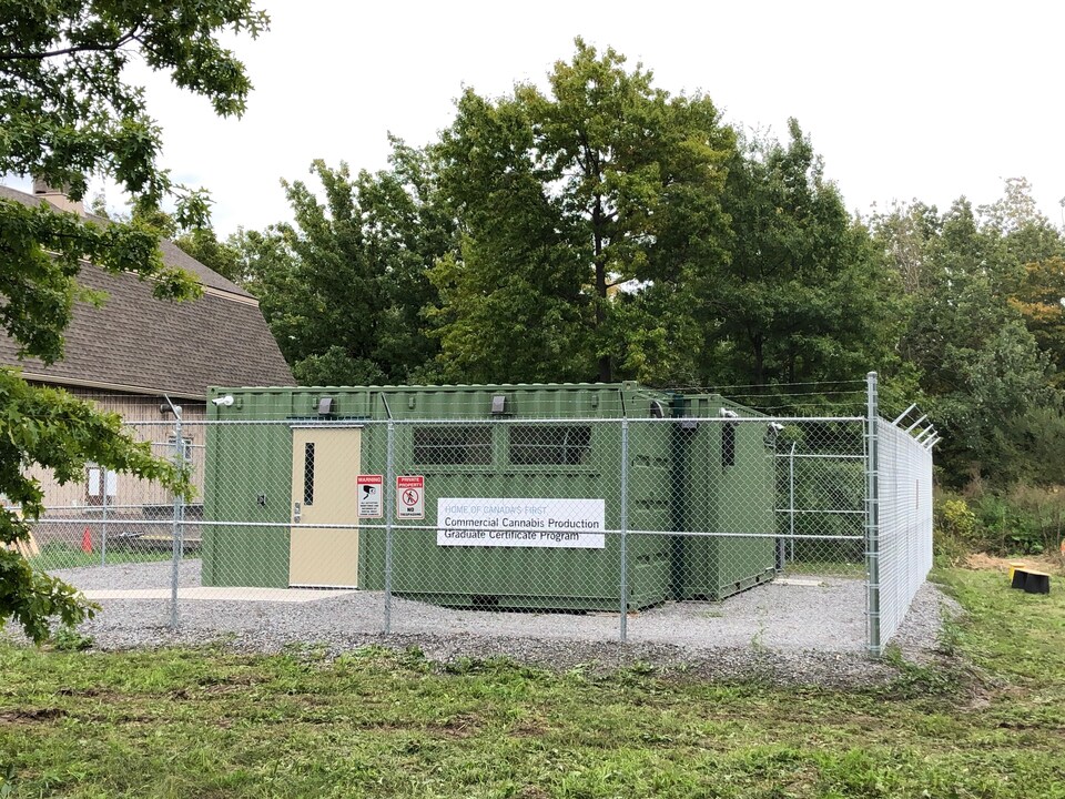 À l'intérieur d'un périmètre clôturé, des conteneurs sécurisés transformés en serres à cannabis.