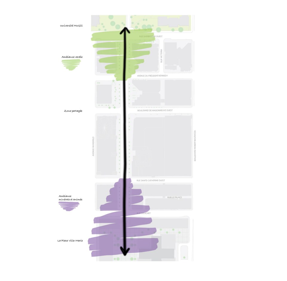 Une carte avec, du nord au sud : l'Université McGill; une ambiance verdie; une zone partagée; une ambiance minérale et animée; et la Place Ville-Marie.