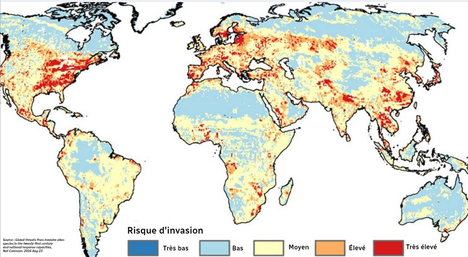 Carte des risques d'invasion d'espèces non indigènes dans le monde.