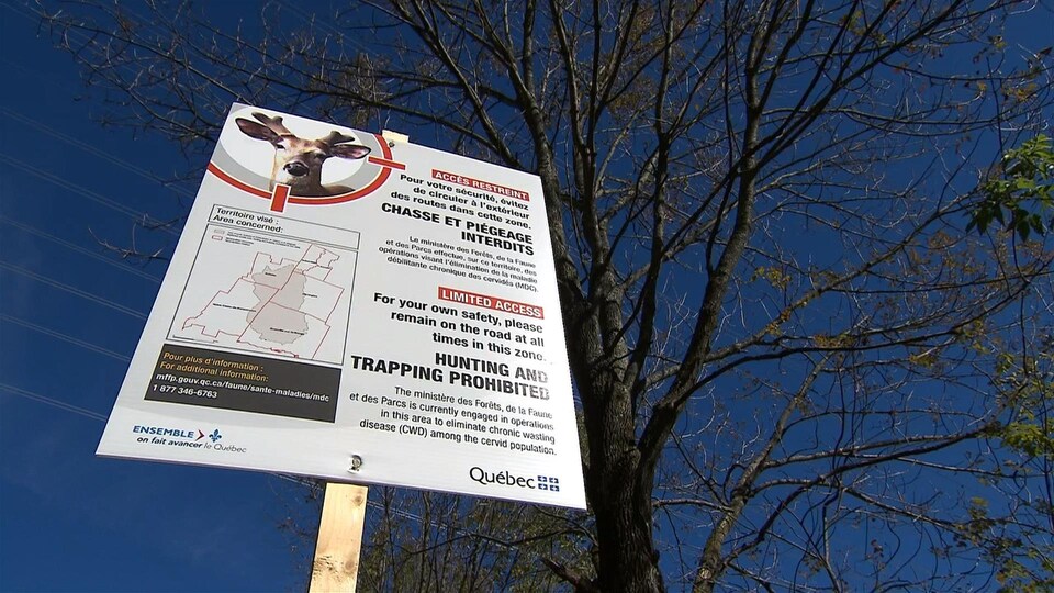 On voit un panneau du gouvernement du Québec qui explique que la chasse est interdite dans cette zone.