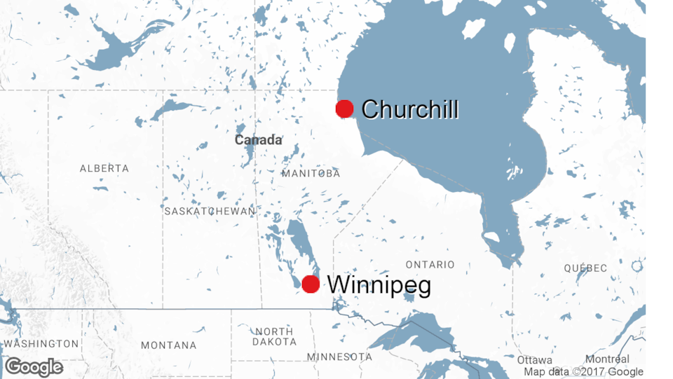 La petite ville de Churchill se trouve à environ 1000 kilomètres au nord-est de Winnipeg. 