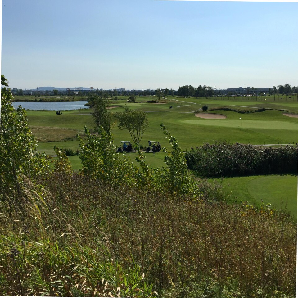 Vue panoramique du terrain de golf.
