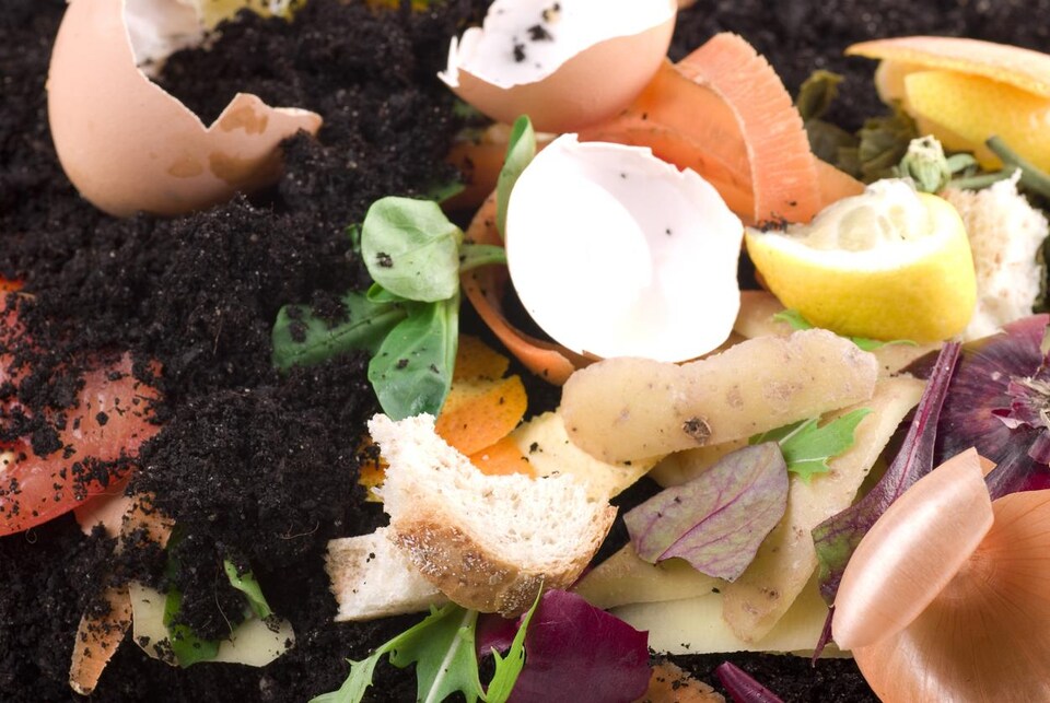 Des déchets alimentaires tels que des coquilles d’œuf ou des pelures de légumes et de la terre. 