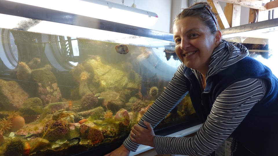 On voit Mme Mercier qui sourit à la caméra, devant l'aquarium où se trouve un concombre de mer et d'autres espèces.