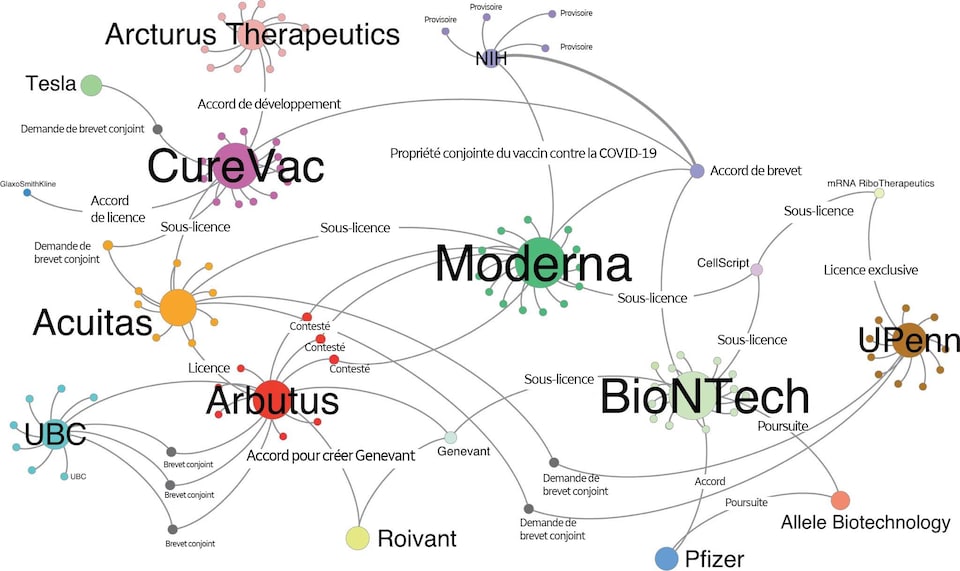 Visualisation des relations entre les compagnies pharmaceutiques sur la propriété des vaccins et les accords et brevets qui les unissent.