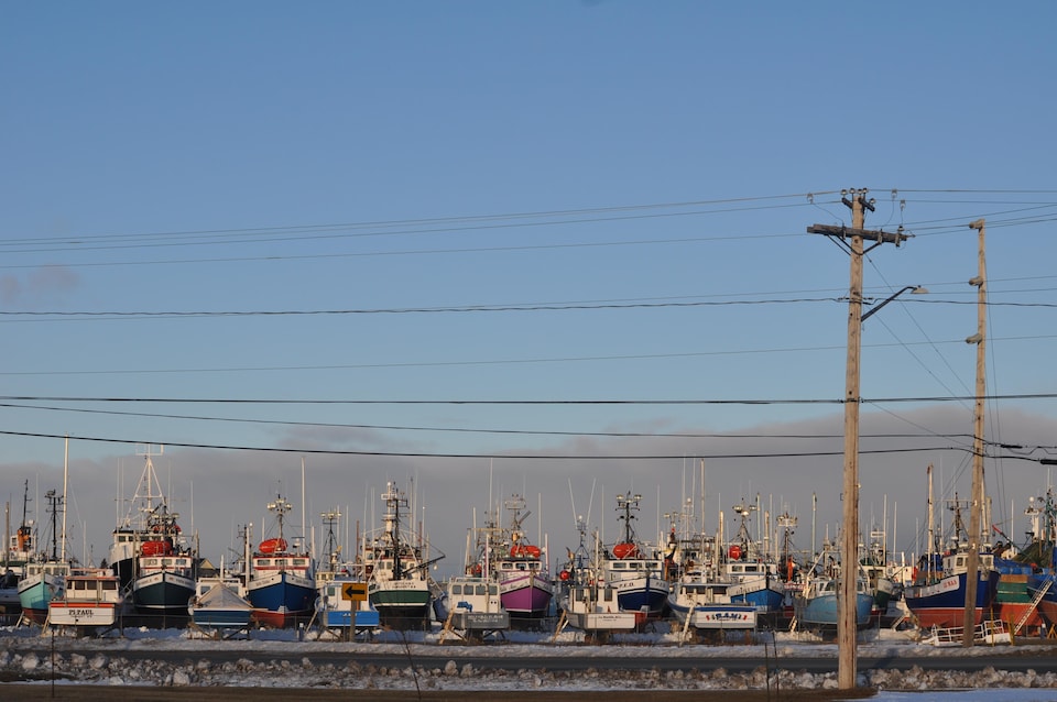 La flottille de crabiers acadiens à Shippagan en attente de la saison de la pêche au crabe des neiges, qui devrait débuter en avril dans le golfe du Saint-Laurent.