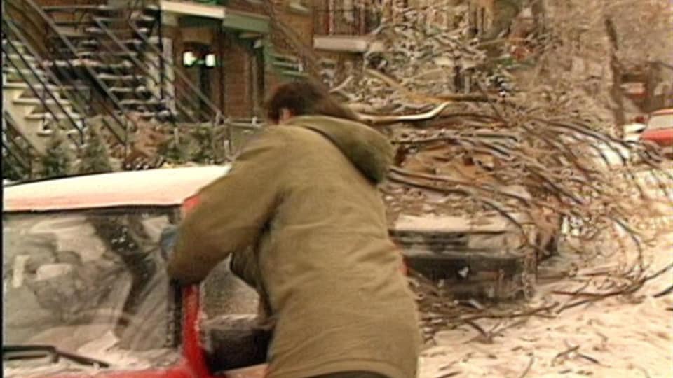 Un automobiliste tente de gratter l'épaisse couche de glace qui recouvre son véhicule. Juste derrière, un arbre couvert de glace s'est écrasé sur une voiture dans une rue de Montréal. 