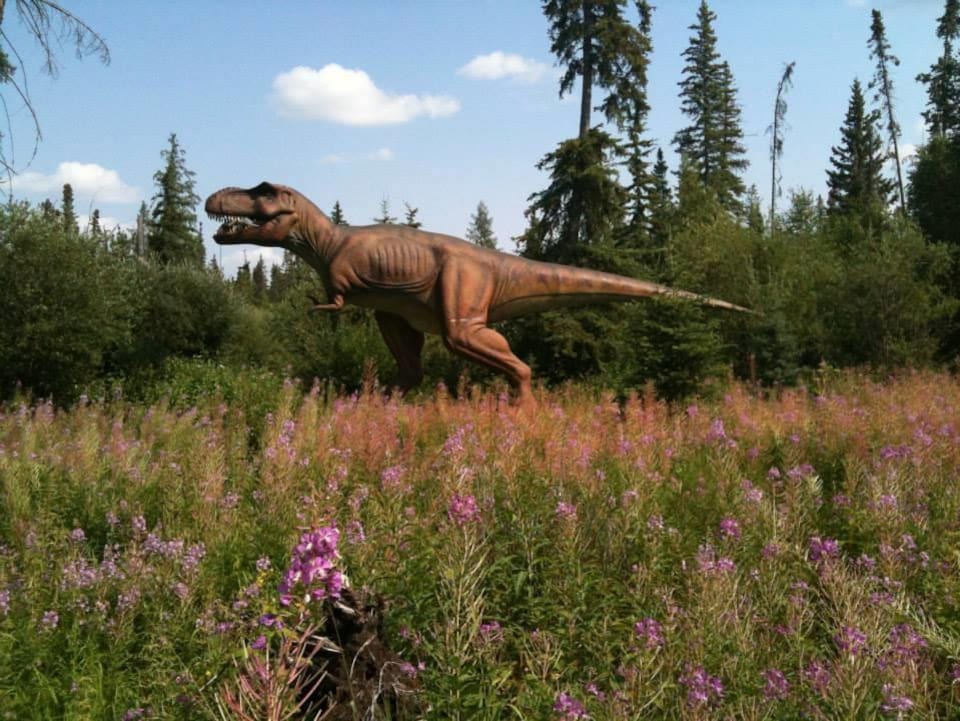 Un tyrannosaurus rex se promène dans une clairière du parc Jurassic Forest, à Gibbons, en Alberta.