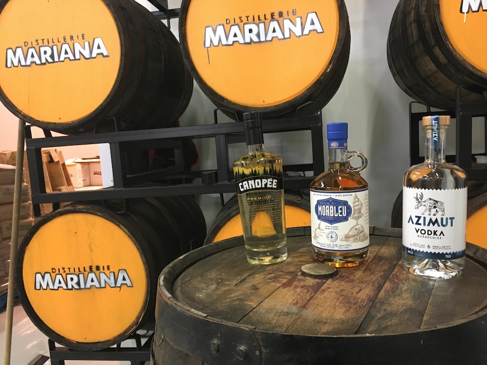 La distillerie Mariana produit déjà du gin, du rhum et de la vodka.