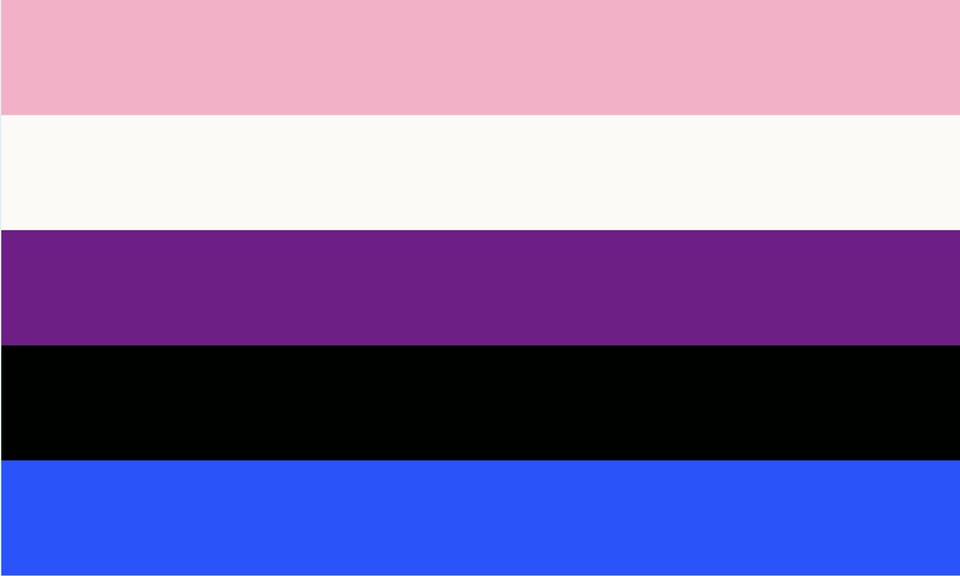 Le drapeau fluide.