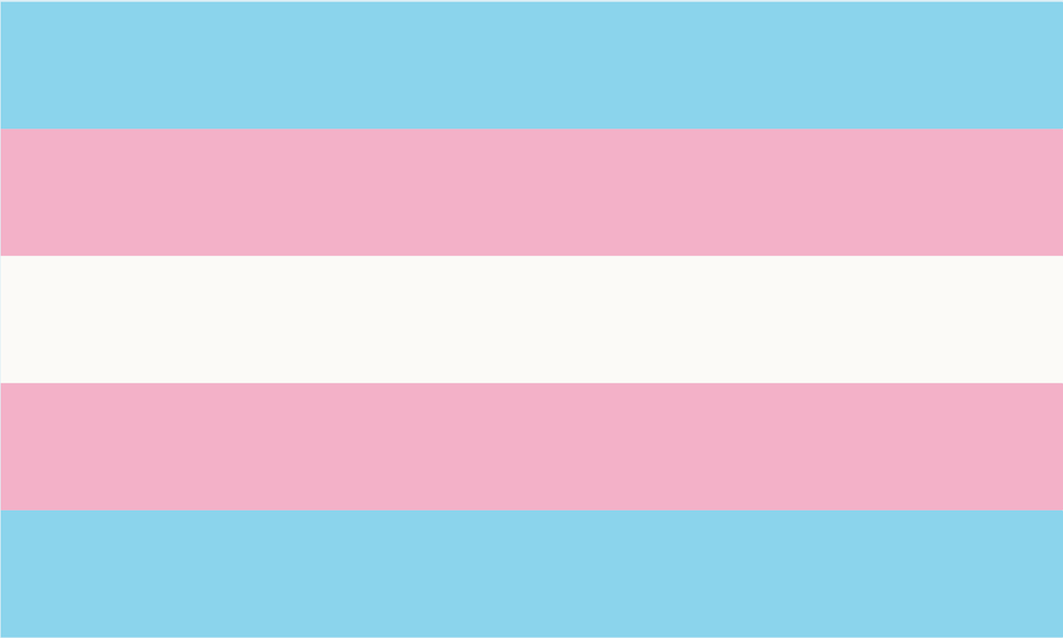 Le drapeau trans 