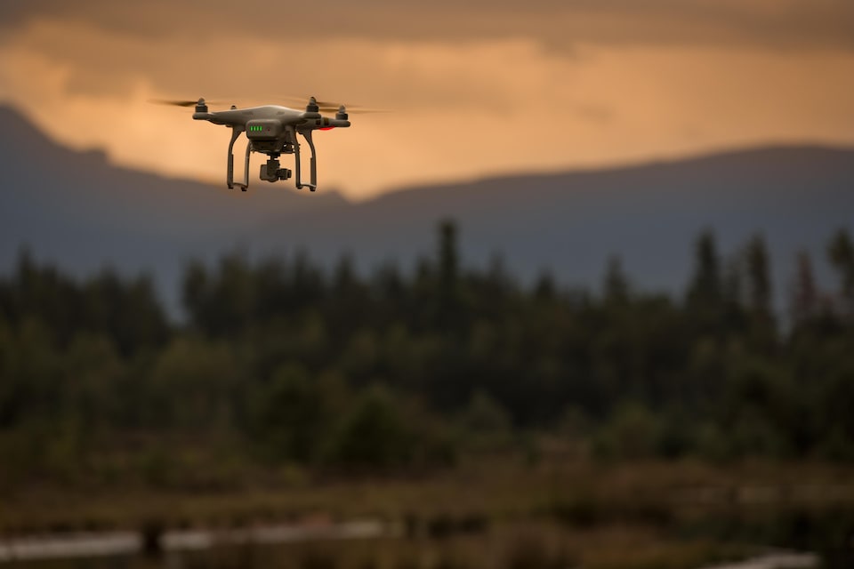 Un drone en forêt