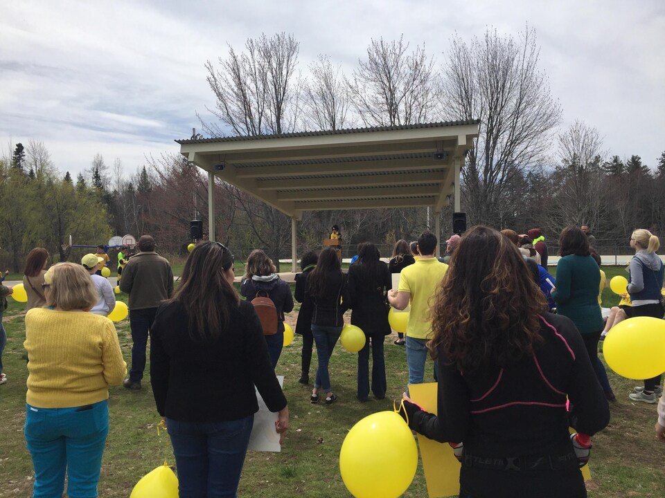 Des marcheurs tenant des ballons jaunes gonflés à l'hélium écoutent une allocution dans un parc.