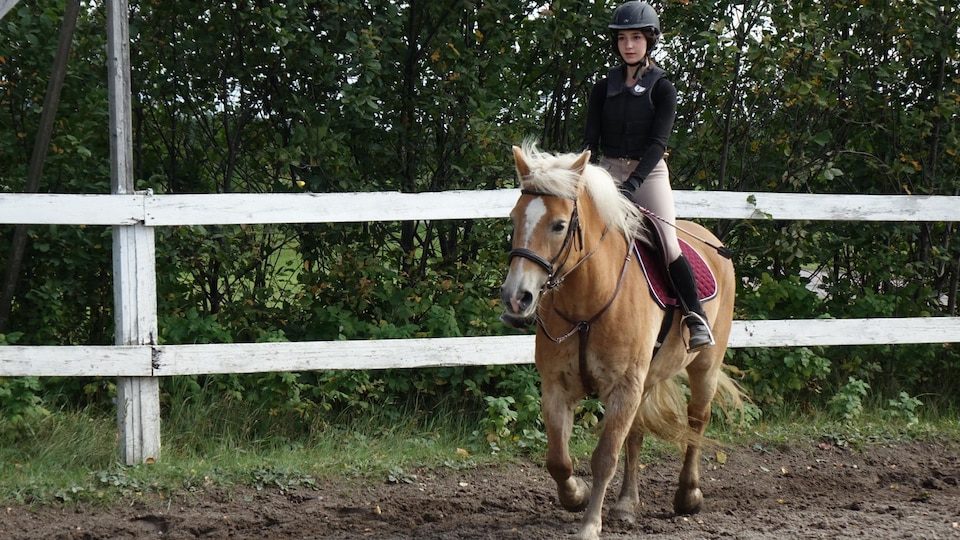 Couverture De Base LeMieux Classique Damson - Respirante, UV 50, Pour équitation Sportive