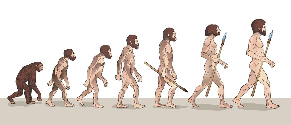 L'homme de Denisova s'est éteint 40 000 ans avant notre ère.