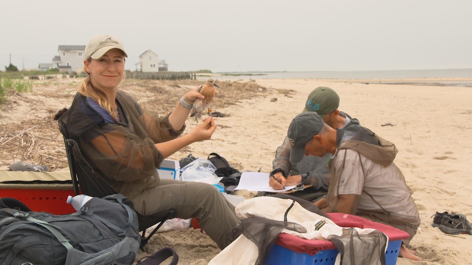 On voit Stephanie Feigin qui identifie des oiseaux migrateurs sur la plage.
