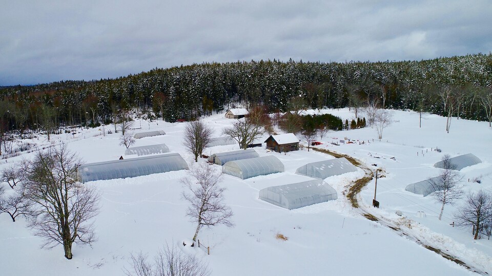 Des serres vues des airs, alors qu'il y a beaucoup de neiges au sol. Une forêt de conifères semble entourer les serres.
