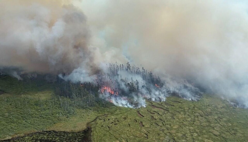 Photo aérienne d'une forêt qui brûle et d'une épaisse fumée.