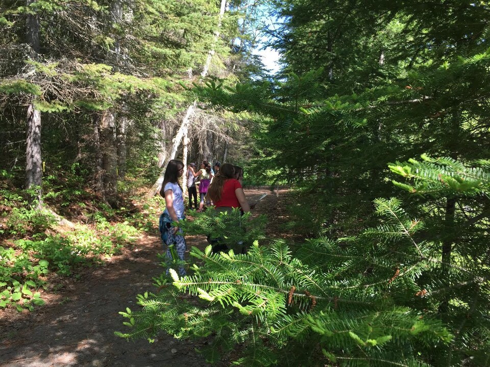 Une journée « forêt » était organisée mercredi pour les élèves de la cinquième année du primaire du Témiscamingue.