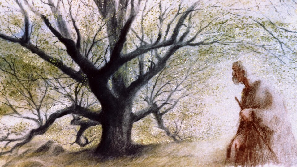 L Homme Qui Plantait Des Arbres Frédéric Back Frédéric Back, un maître de l’animation inquiet de la survie de la
