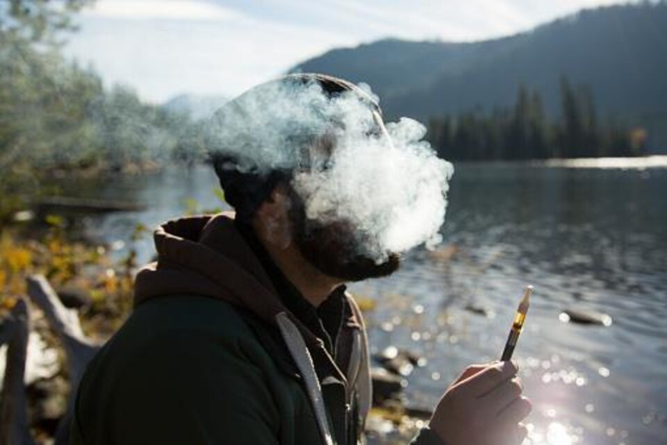 Selon le Centre de toxicomanie et de santé mentale de Toronto, 44% des Canadiens ont déjà fumé de la marijuana. 