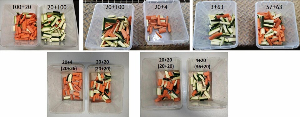 Des contenants avec des quantités différentes de carottes et de zucchinis.