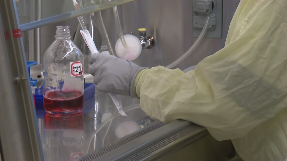 Une employée manipule des outils scientifiques dans un laboratoire.