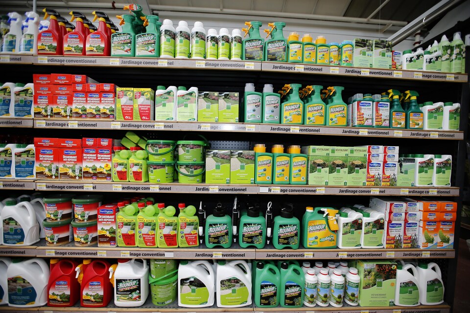 Des herbicides en inventaire dans un commerce. 