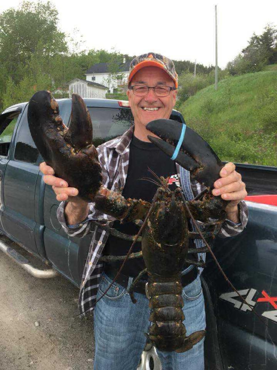 Un énorme homard pêché... puis relâché au large de TerreNeuve RadioCanada.ca