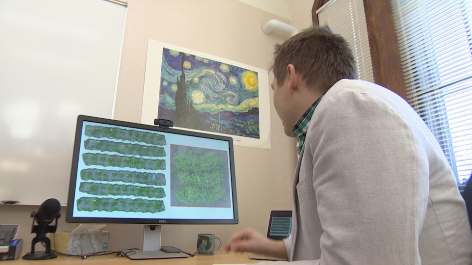 Ian Stavness observe sur son ordinateur les photos tirées de rangées de plants cultivés.