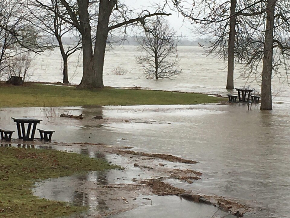 Des tables de pique-nique sont entourées d'eau dans un parc.