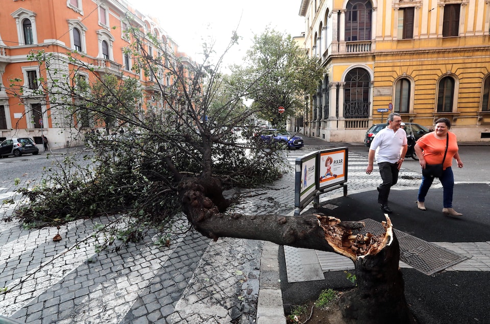 Un arbre brisé par le vent à Rome.