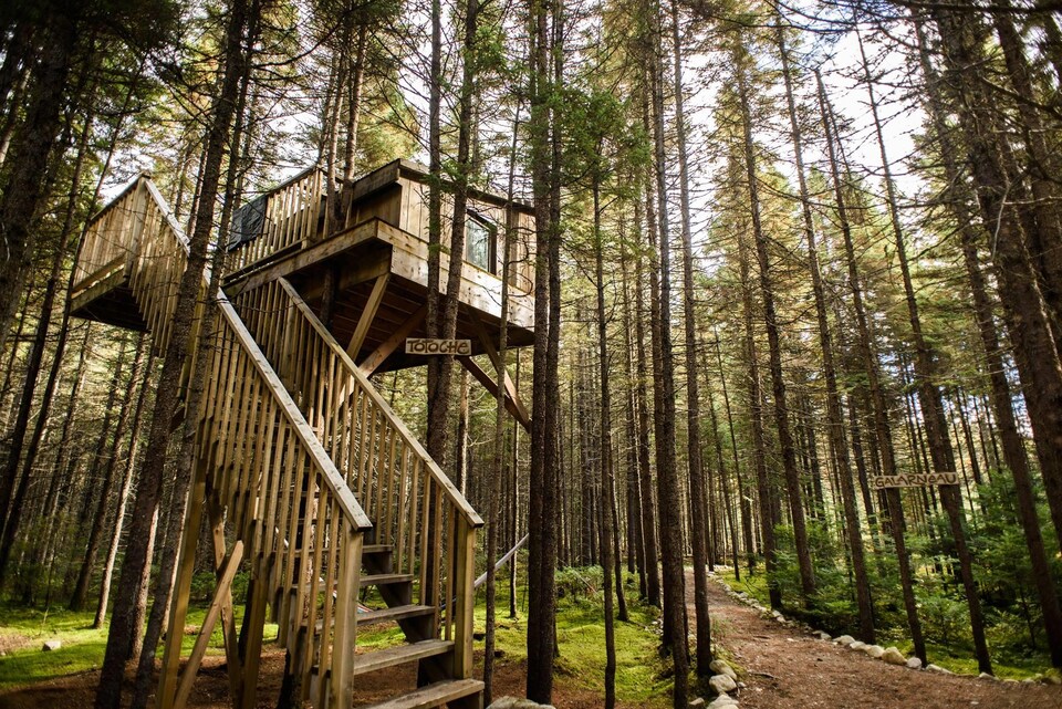 Une cabane dans les arbres du domaine Kabania.