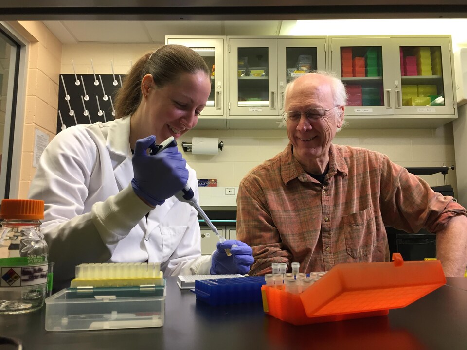Dans leur laboratoire du centre Anderson Cabot, Scott Krauss et Katherine Graham étudient le stress que subissent les baleines noires.