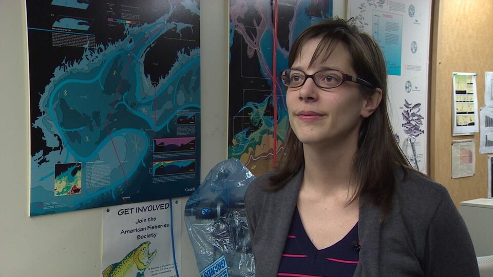 Kim Davies étudie les baleines à l'Université Dalhousie, à Halifax.